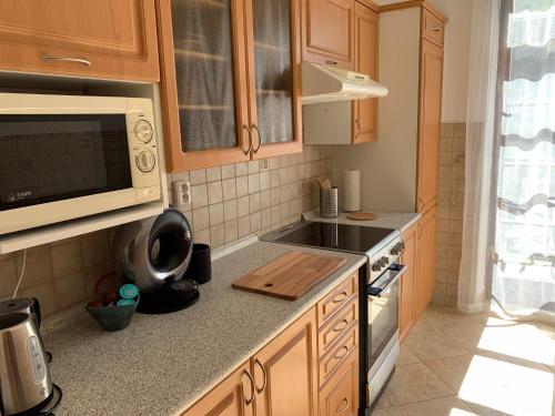 Apartments Dlouhá 93 - image 2