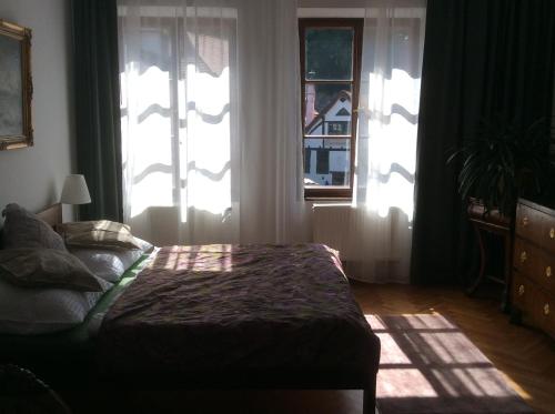 Apartments Dlouhá 93 - image 3