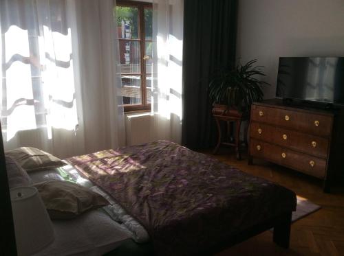 Apartments Dlouhá 93 - image 13