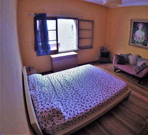 A Casa Mia 3