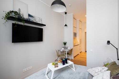 Modern Design Studio Apartment In Riga Center