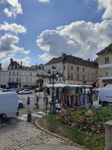 Appartement 48m2 pour 6 personnes au centre ville historique avec parking gratuit et une borne de recharge pour voiture à 10 metres