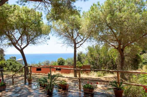 Tenuta Le Rocchette 4