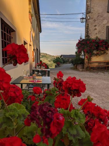 Agriturismo La Fattoria di Capezzana