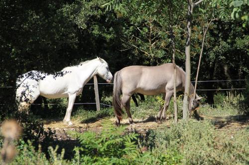 Studio Gard calme et nature photo 22