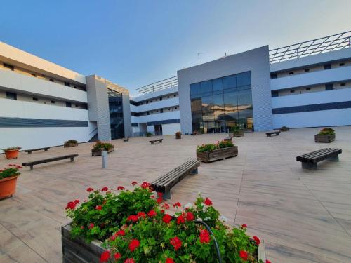 Iberflat Vega de Triana - image 11