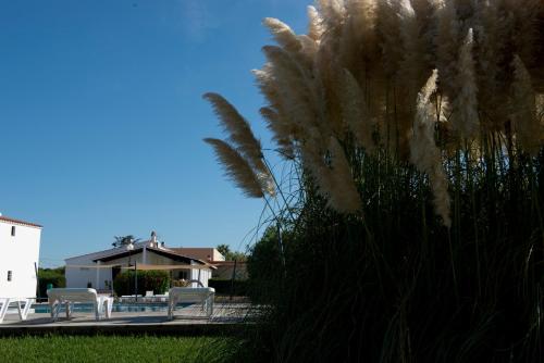 Apartamentos Sa Caleta