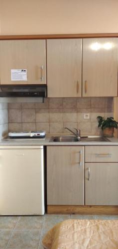 Xenia Palace luxury apartments - image 5