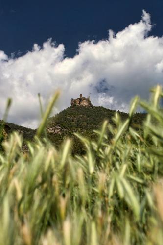 Casa el Pelaire