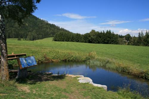 運動及活動, Urlaub am Bio-Bauernhof Liebchen in 蘇特沙赫