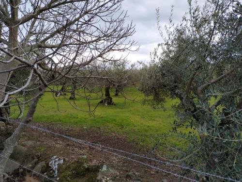 Casa Rural La Picota