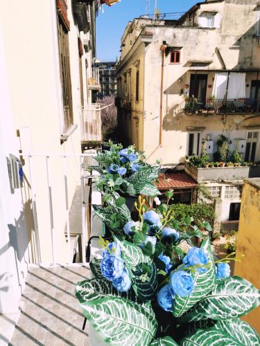 I Tesori di Napoli - image 4