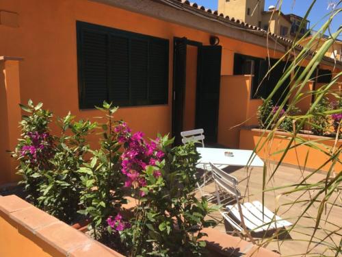 Orto Di Roma - image 3