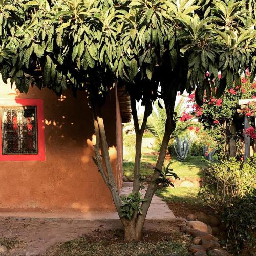 Les Jardins de Taja Les Jardins de Taja