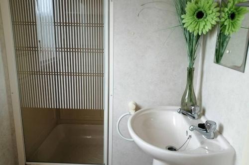 Beachside, Family-friendly, WiFi, 8 berth Caravan 133, Skegness (photo 8)