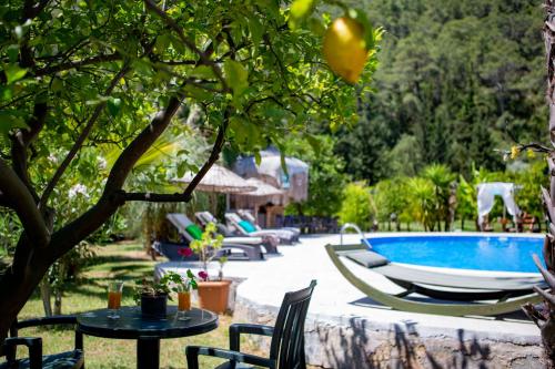 Portalimo Lodge Hotel - Adult Only +12