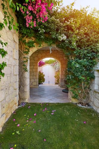 Alakapi Hotel - image 3