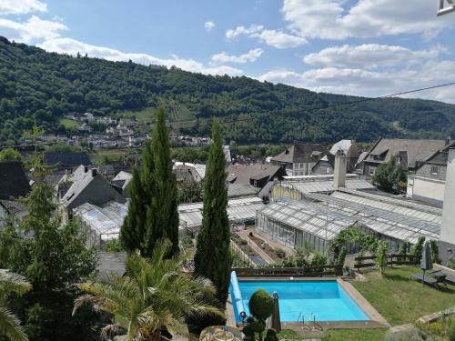 Swimming pool, Weingut Stiftshof in Enkirch