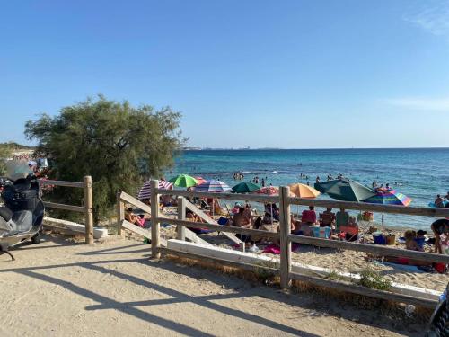  GIOIELLO SUL MARE in Lido Conchiglie