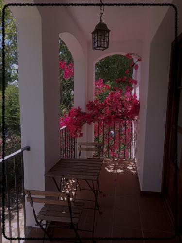 Apartamento Rural Las Palmeras in 阿爾莫納斯特拉雷亞爾