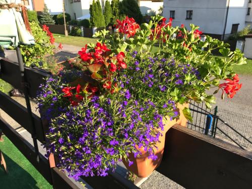 Apartamenty Nova Dolina - image 4