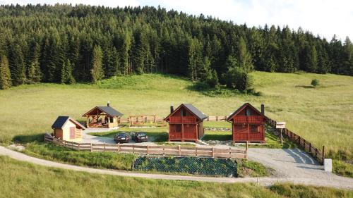 Domki na Zagroniu - Chalet - Koninki