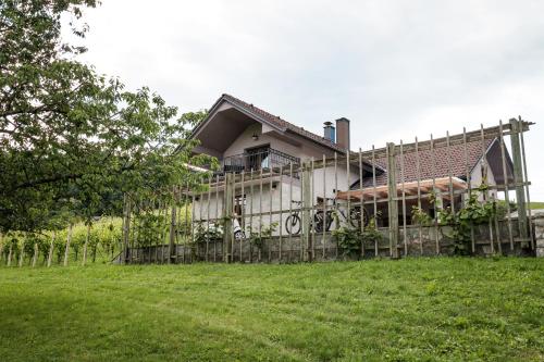Vineyard cottage Radulja