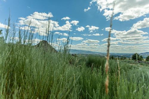 Casa das Fragas - Serra da Estrela