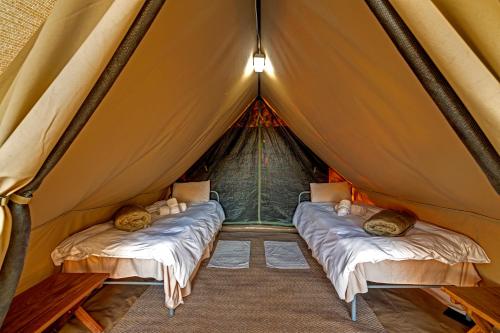 Book the Tent Tent