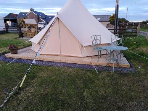 Stargazer Bell Tent - Pen Cefn Farm, Abergele, Conwy, Betws-yn-Rhos, North Wales