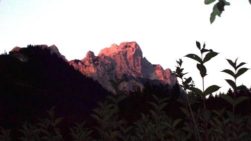 Alpina - image 2