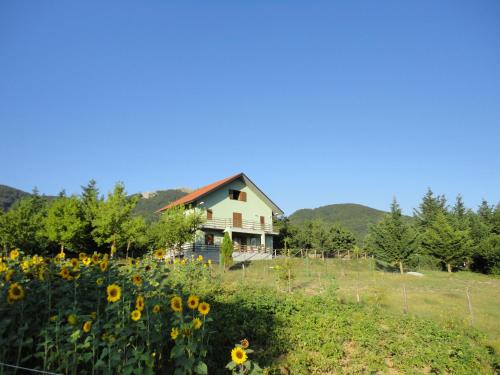 Green House - Accommodation - Morano Calabro