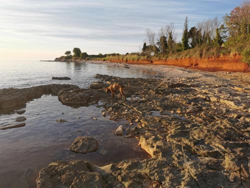  Apartments Emili in Novigrad