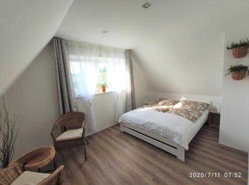 Apartmán Lenka II - Apartment - Boršice