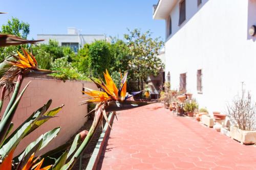 Villa 5 camere 2 bagni WiFi vicino spiaggia m130 - image 2