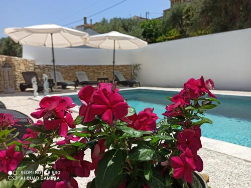 Avra, Gaios (fotografie 9)