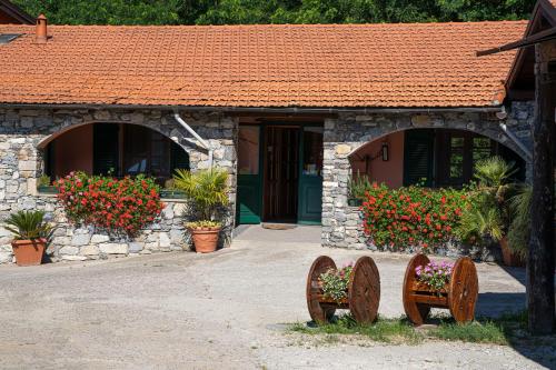  01234 - Agriturismo La Marpea, esperienza in mezzo alla natura e al cibo tipico Italiano in Terisso