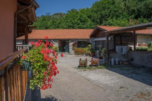 01234 - Agriturismo La Marpea, esperienza in mezzo alla natura e al cibo tipico Italiano