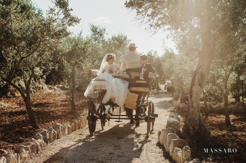 Antica tenuta dei trulli