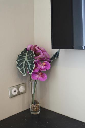 Cannes Center 3 mns Splendid studio green scenery and quiet environment by Olam Properties