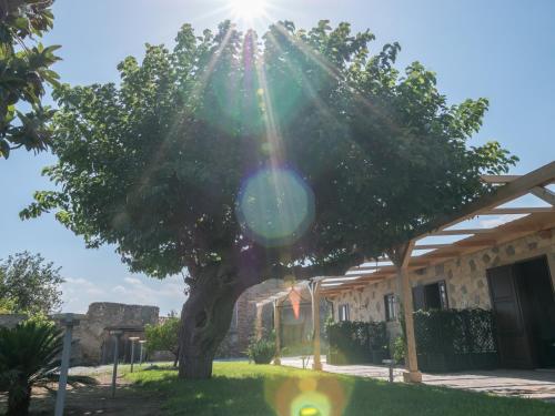 B&B Il Gelso Rooms – Terme Vigliatore, WA