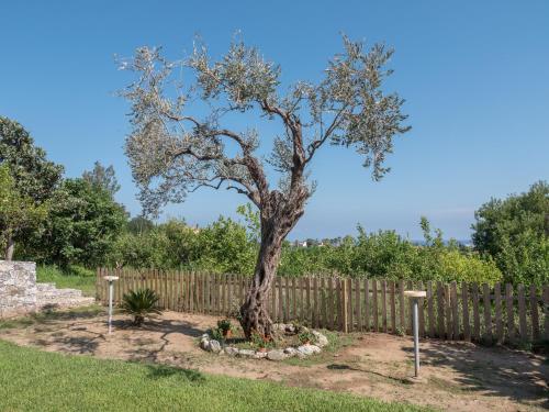 B&B Il Gelso Rooms – Terme Vigliatore, WA