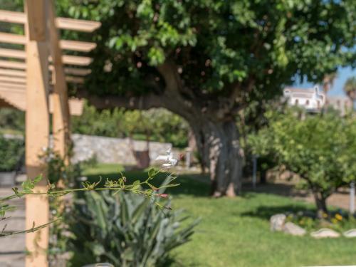 B&B Il Gelso Rooms – Terme Vigliatore, WA