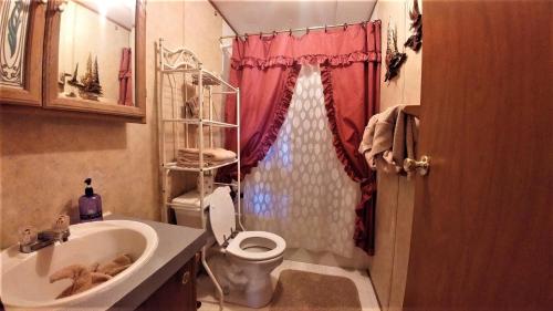 Free Xplorie Attractions Every Day! - Lakefront Cottage - image 5