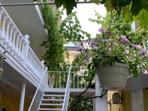 Hotel Lev - image 4