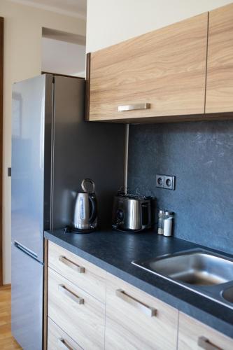Apartmány VÍNO HRUŠKA Pardubice - image 7