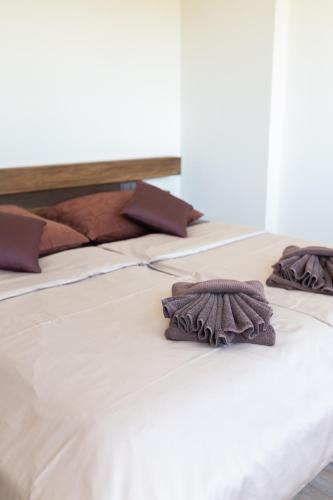 Apartmány VÍNO HRUŠKA Pardubice - image 8