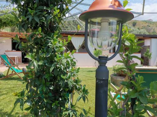 Baia degli ulivi chambre d'hôte Sant'Elia