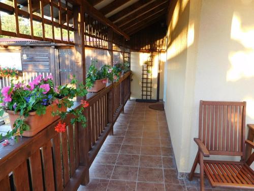 Bejárat, Studio Boroví (Studio Borovi) in Srbsko