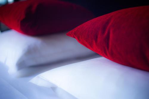 Eiffel Villa Garibaldi - image 7